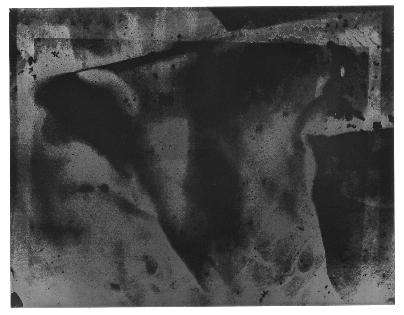 Daisuke Yokota｜横田大輔